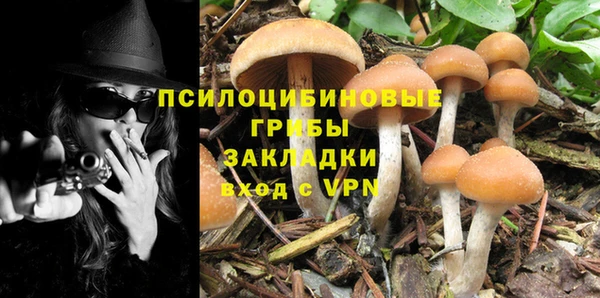ALPHA PVP Алексин