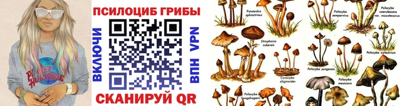 наркошоп Биробиджан Псилоцибиновые грибы Magic Shrooms