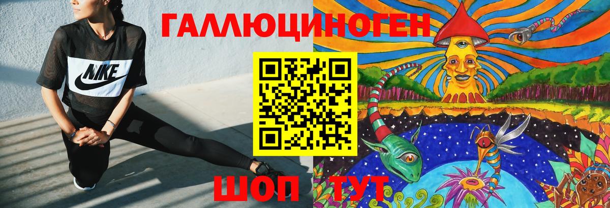 Галлюциногенные грибы Psilocybine cubensis Биробиджан